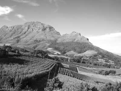 Southern Africa - Franschhoek - Epic Overland Journey: From Namibe, Namibia to Cape Town, South Africa - 2