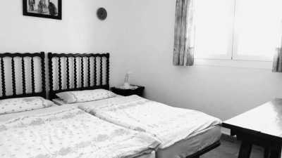 Spanien - Ibiza - Ibiza: Eine Woche Urlaub auf Ibiza - in einem süßen Apartment (EINZELZIMMER) direkt am Meer! - 5