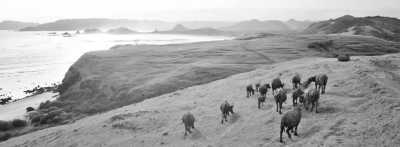 Indonesia - Bukit Merese - Lombok Islands - Hills, 5 Gili Islands, 4 Beaches, Beautiful Waterfalls, Culture Experiences, Mandalika Circuit! - 1