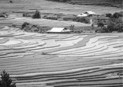 Vietnam - Tú Lệ - Trekking Mu Cang Chai: Discover the Magnificent Rice Terraces of Northern Vietnam - 2