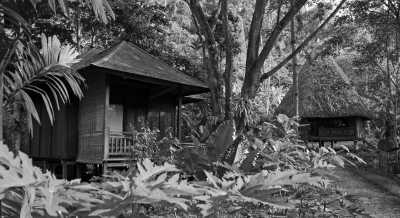 India - Radhanagar Beach - Explore Andaman Archipelago 🌊 A summer beach vacation 🏖️ scuba diving in the pristine marine ecosystem 🤿 explore islands unique wildlife wonders & activities 🐾 sunrise & sunsets - 2