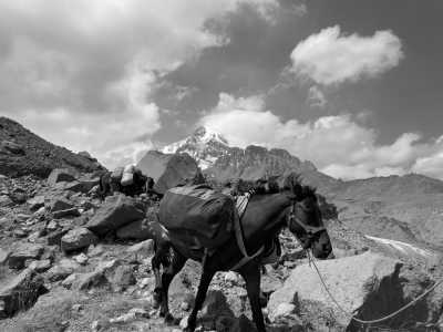 Georgien - Gergeti Glacier - Trekking- und Kulturreise nach Georgien - 4