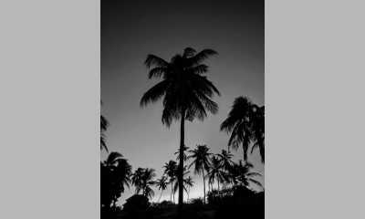 Tanzania - Kiwengwa - 10-day trip around Zanzibar island, Tanzania 🌴 - 3