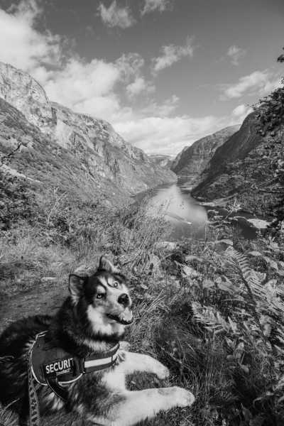 Norway - Nærøyfjord - Best of Norway with my huskies 🐾⛰️ | Jotunheimen, Fjords & Valleys | Hiking trip - 2
