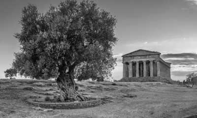 Italien - Palermo - A Month in Sicily: Coliving for Digital Nomads (Private Rooms) - 2