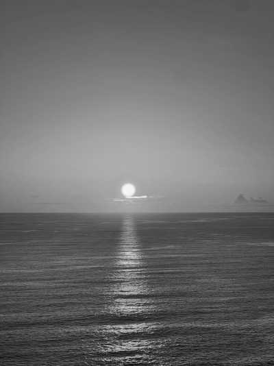 Portugal - Funchal City Center - Single Rooms Affordable Co-living in the Hub of Funchal with Guaranteed Adventure, Nature and Fun on the Dream Island of Madeira 🌴 - 23