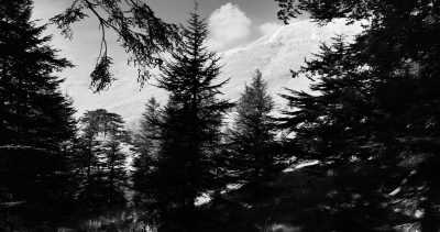 Lebanon - Zedern des Herrn - Lebanon 🌴🌏 CoWorking 💻 with Locals - 2