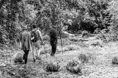 Tanzania - Kilimanjaro International Airport - Tanzania Wilderness – Unique Experience – ALL INCLUSIVE - 5