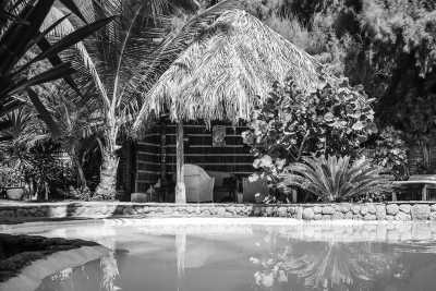 Peru - Máncora - Surfing in Paradise 🏄🏽‍♀️☀️ Sandy Beaches, Palm Trees & Pisco Sours in Máncora, Peru - 7