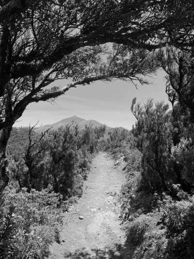 Spain - Buenavista del Norte - 🏄🏽‍♂️  Surf I Hike & Beach - Come to Canarias and escape winter! 🌴☀️🧘🏼‍♂️ - 2