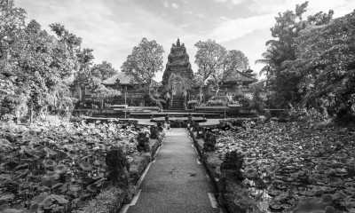 Indonesia - Ubud - Slow paced co-working and guided trip in Bali with sightseeing, sailing and yoga classes with your own instructor. - 2