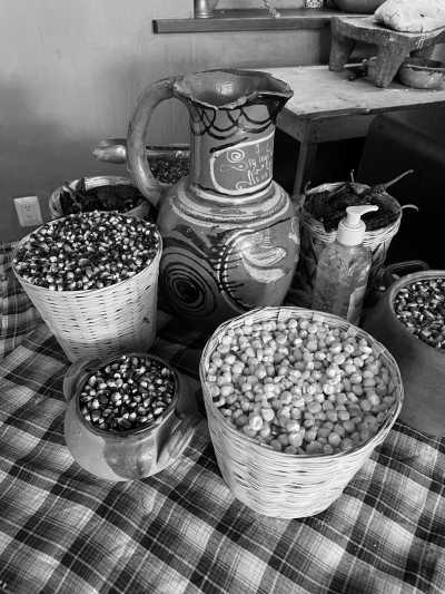 Mexico - Hierve el Agua - Unveiling OAXACA Mexico: A 7-Day Gastronomy, Culture, and Crafts Adventure for Women - 2