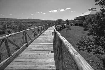 Kenia - Mara North Conservancy Airstrip - Kenya Adventure Safari + Beach Stay (private room fits 1 pax) - 5