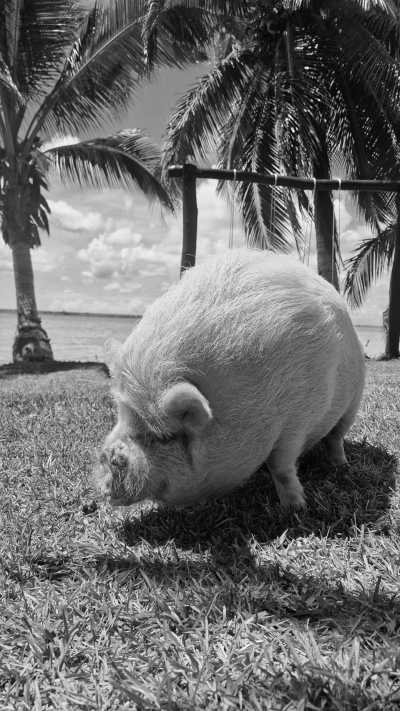 Mexiko - Bacalar - Day of the Dead Roadtrip in Mexico - 7