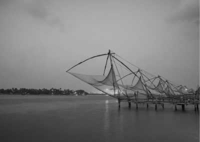 India - Kochi - Authentic Kerala Experience: Unveiling the Beauty of God's Own Country, India - 2