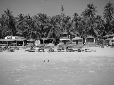 India - North Goa - Explore Goa and Dive in the paradise of India! - 5