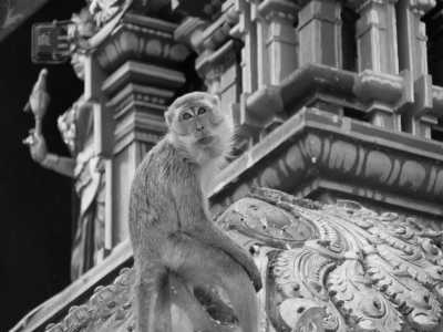 Malaysia - Federal Territory of Kuala Lumpur - 🇲🇾 Entdecke Malaysia - Kultur, Natur & Megacity - Kurzreise durch Penang, Cameron Highlands, Ipoh & Kuala Lumpur -> 🎨🌿🕌🏝️🍜 - 5