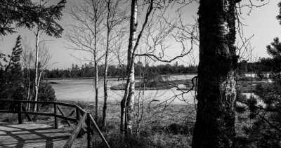 Deutschland - Wildseemoor - Step into the Flow | Hohenzollern Castle | Sankenbach Lake & Falls | Black Forest | 3 days - 3