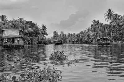 India - Alappuzha - Through The God's Own Country: Kerala, India
