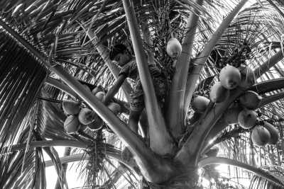 Tanzania - Kendwa Beach - Get to know the best of Zanzibar 🏝️ - 2