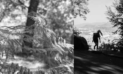 Spanien - Pasaia - San Sebastian Food Trip: Experience Basque Cuisine with a Michelin-Experienced Guide in Spain