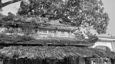 Vietnam - Côn Sơn-Kiếp Bạc - Temple Hunting in North Vietnam with a Local - 1