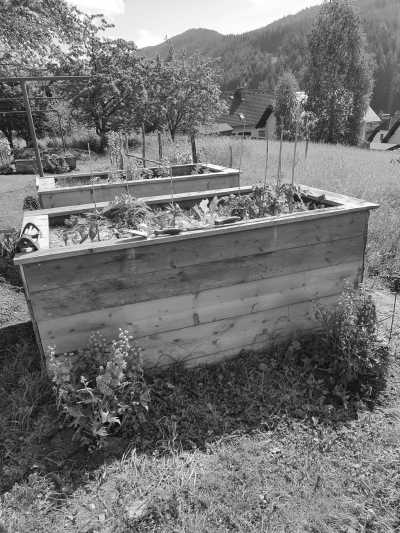 Austria - Rettenegg - Austrian Countryside Escape: All-Inclusive Coworking Trip - 3