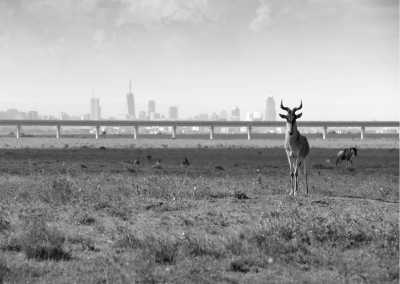 Kenya - Nairobi - Traveling to Maasai Mara, Kenya on a Budget