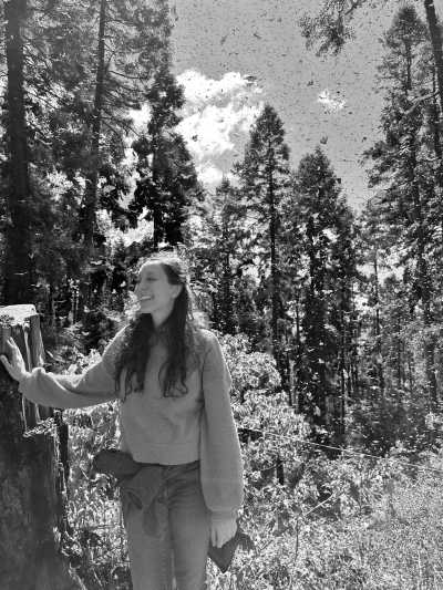 Mexico - Mexico City - Mexico City: Monarch Migration Expedition