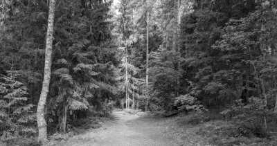 Northern Europe - Nationalpark Ķemeri - Riga and Vilnius kennenlernen - Kultur, Natur und Mehr! - 3