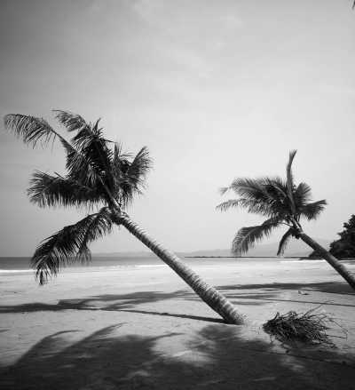 Philippines - Puerto Princesa Subterranean River National Park - El Nido: Beaches, Island Hopping, Snorkeling, Surfing & UNESCO sites | All in the Philippines - 5