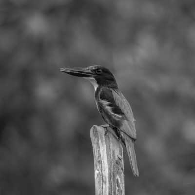 Sri Lanka - Yala National Park Sri Lanka - Your Ultimate Wildlife Experience in Sri Lanka - 2