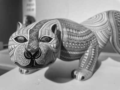 Mexico - Oaxaca - DAY OF THE DEAD AT OAXACA - 55