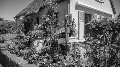 France - Kaysersberg-Vignoble - A Magical Experience | Alsace, France | Walkshop Light | 4 Days | 4 Lakes Tour - trip to Lac Blanc, Lac Noir & more - 9