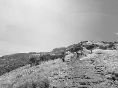 Indonesien - Mount Sumbing - Journey Through the Java Highlands: Exploring the Majestic Mountains of Indonesia - 3