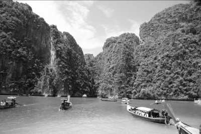 Thailand - Phi Phi Islands - Swimming with Elephants and Snorkeling in Phuket, Thailand: Island Paradise, Majestic Elephants, Spectacular Snorkeling, and Local Cuisine - 5