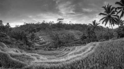 Indonesia - Ubud - Celebrate 2023 new year on cozy private pool villa trip in Bali - 1