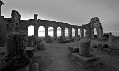 Marokko - Conservation du site Archéologique de volubilis - Discover the Hidden Gems of Fez: A Journey Through Morocco's Cultural Capital - 4