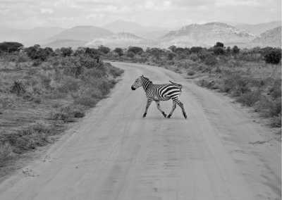 Kenya - Discovering the nature and customs of Kenya, East Africa - JoinMyTrip