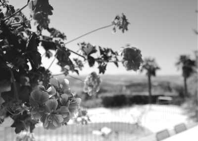 Frankreich - Limoges - Escape to the French Countryside Limoges with the Best Female Travel Group You Haven't Met Yet!