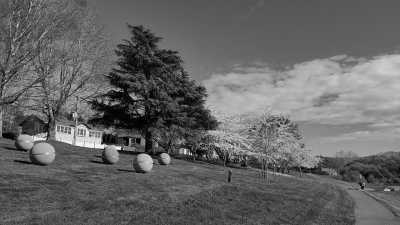 Australia - Deloraine - Tasmania Express: 4-Day Getaway on Wheels! - 2