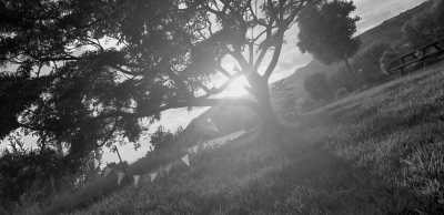 Portugal - Furnas - Discover the Natural Wonders of São Miguel, Azores: Hiking and Hot Springs Adventure in Portugal - 3