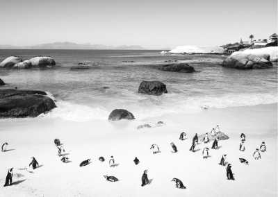 Südafrika - Cape Town - Explore the best of Cape Town, South Africa - 2