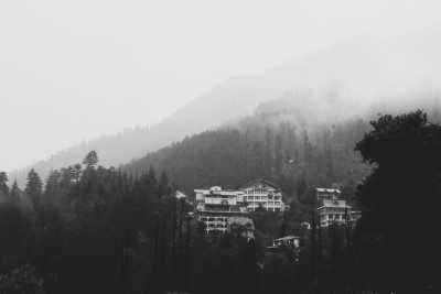India - Kasauli - Shimla Snowfall Road Trip: Golden Himalayan Views - Mountain Paradise - Hidden Waterfalls - 2
