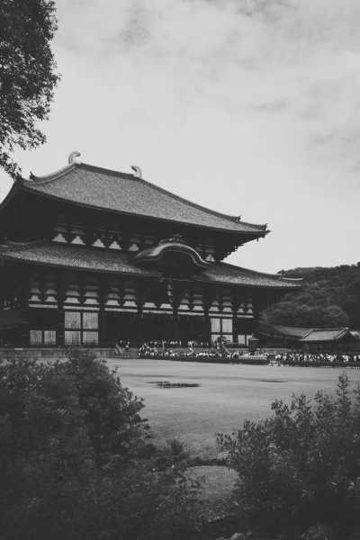 Japan - Tōdai-ji - 🇯🇵Japan Trip To The Future :Food, Culture, Snow & Wildlife - 1