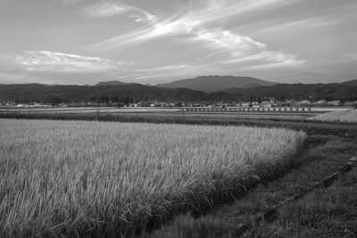 Japan - Wake - Driving Around Okayama, Japan: Enjoy the Autumn Leaves and Farm Stay, Travel Like a Local - 2