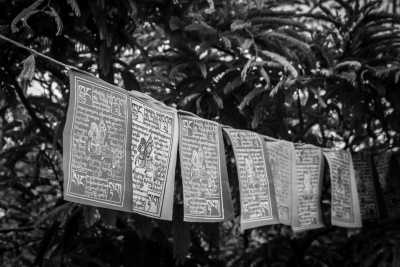 India - Gangtok - Explore the majestic North Himalaya, Sikkim - Gurudongmar Lake and Yumthang Valley and more like a local