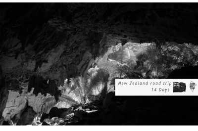 New Zealand - Waitomo Glowworm Caves - 🇳🇿🗺 Entdecke die Geheimnisse Neuseelands 🗺🇳🇿 - 7