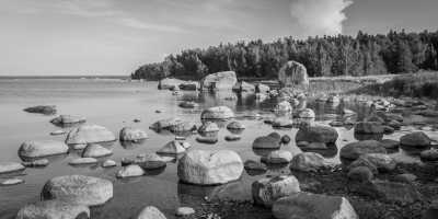 Northern Europe - Tallinn - Tallinn (Estland) 15 Tage 🇪🇪🧑‍💻 Coliving & Coworking (Einzelzimmer)