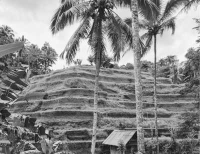 Indonesia - Swasti Eco Cottages - Bali Yoga Retreat - The Island of the Gods - 2